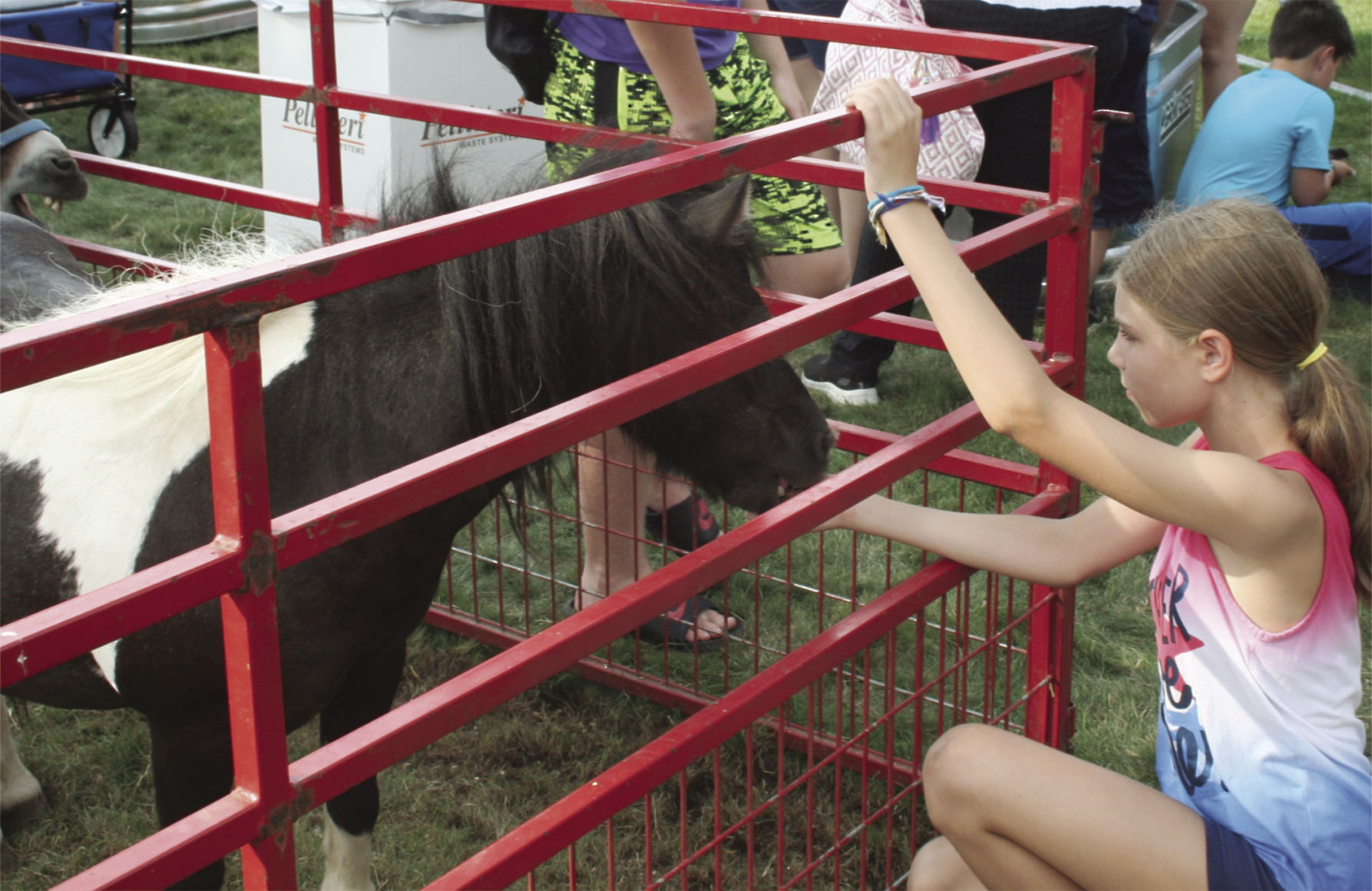 Ponying up